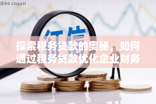 项城探索税务贷款的奥秘，如何通过税务贷款优化企业财务