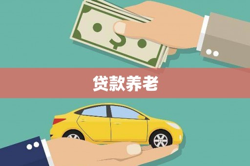 项城贷款养老