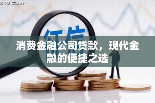 项城消费金融公司贷款，现代金融的便捷之选