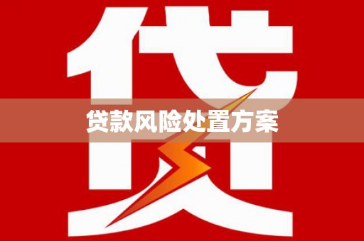 项城贷款风险处置方案