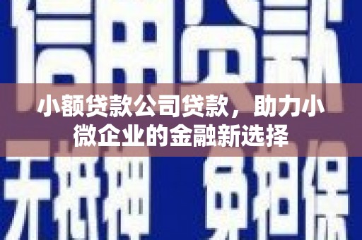 项城小额贷款公司贷款，助力小微企业的金融新选择