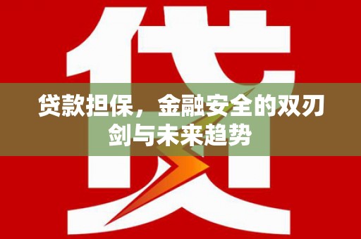 项城贷款担保，金融安全的双刃剑与未来趋势