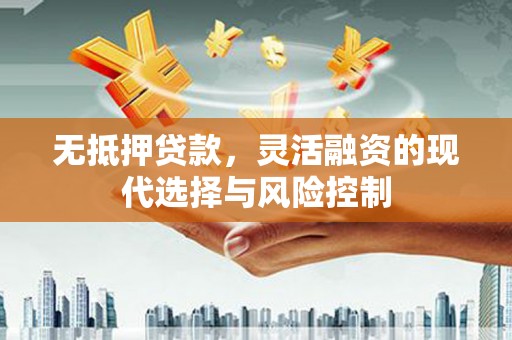 项城无抵押贷款，灵活融资的现代选择与风险控制