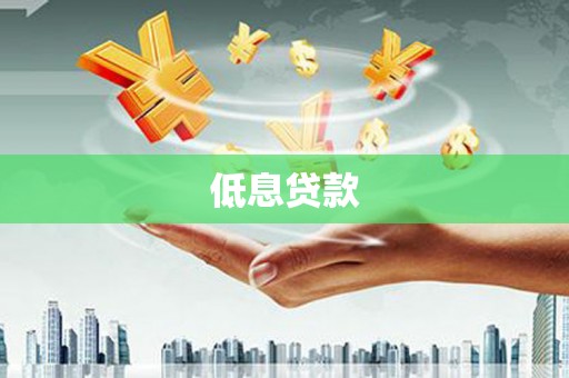 项城低息贷款