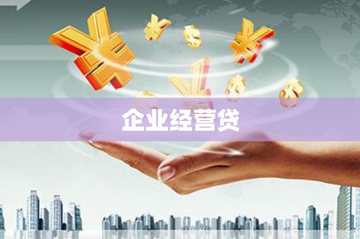 项城企业经营贷
