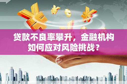 项城贷款不良率攀升，金融机构如何应对风险挑战？