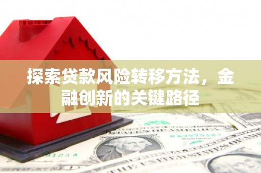 项城探索贷款风险转移方法，金融创新的关键路径