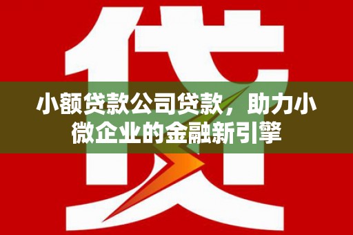 项城小额贷款公司贷款，助力小微企业的金融新引擎