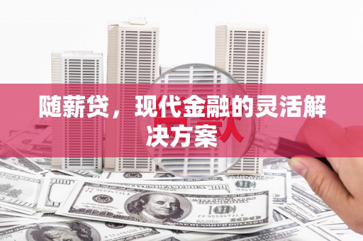 项城随薪贷，现代金融的灵活解决方案