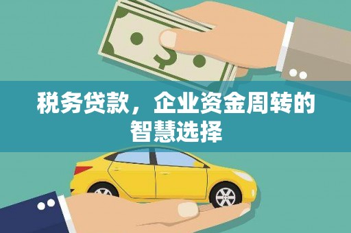 项城税务贷款，企业资金周转的智慧选择