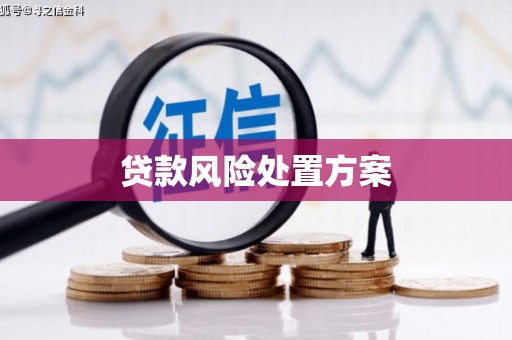 项城贷款风险处置方案