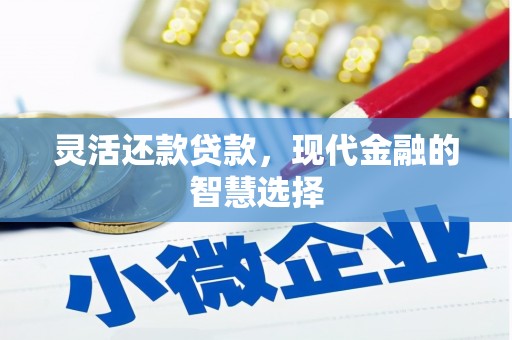 项城灵活还款贷款，现代金融的智慧选择