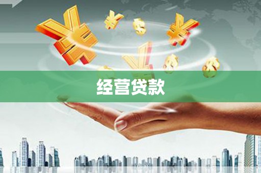 项城经营贷款