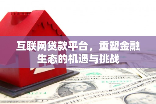 项城互联网贷款平台，重塑金融生态的机遇与挑战