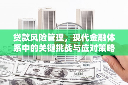 项城贷款风险管理，现代金融体系中的关键挑战与应对策略