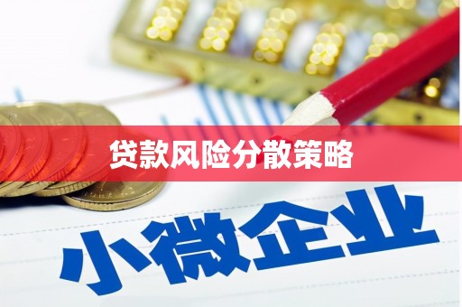 项城贷款风险分散策略