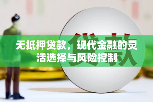 项城无抵押贷款，现代金融的灵活选择与风险控制