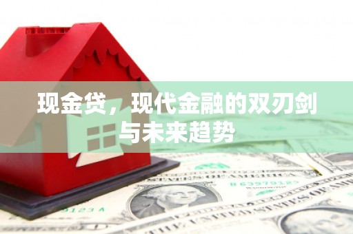 项城现金贷，现代金融的双刃剑与未来趋势