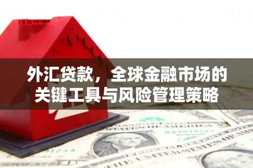 项城外汇贷款，全球金融市场的关键工具与风险管理策略