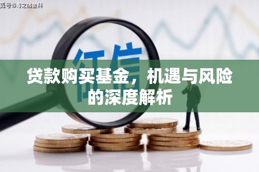 项城贷款购买基金，机遇与风险的深度解析