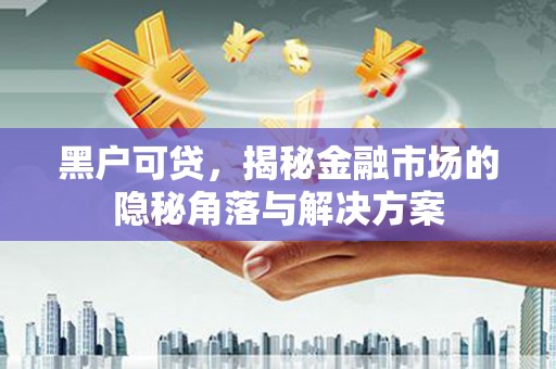 项城黑户可贷，揭秘金融市场的隐秘角落与解决方案