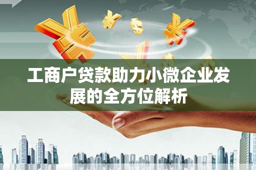 项城工商户贷款助力小微企业发展的全方位解析