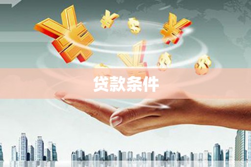 项城贷款条件