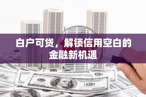 项城白户可贷，解锁信用空白的金融新机遇