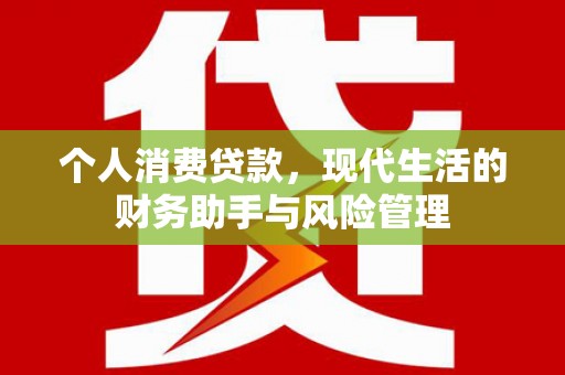 项城个人消费贷款，现代生活的财务助手与风险管理