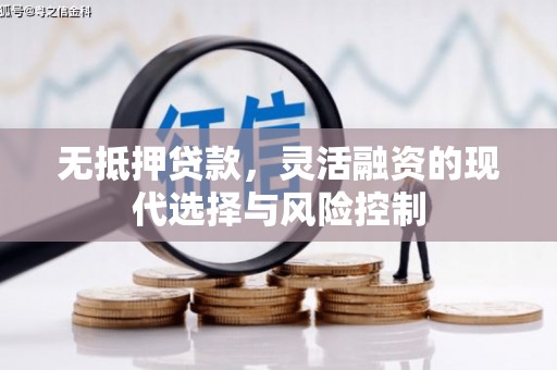 项城无抵押贷款，灵活融资的现代选择与风险控制