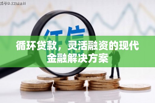 项城循环贷款，灵活融资的现代金融解决方案