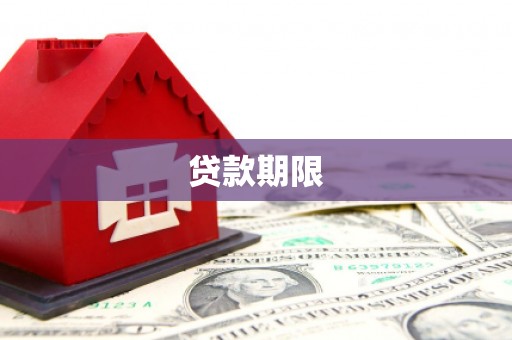 项城贷款期限