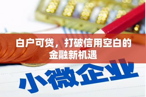 项城白户可贷，打破信用空白的金融新机遇