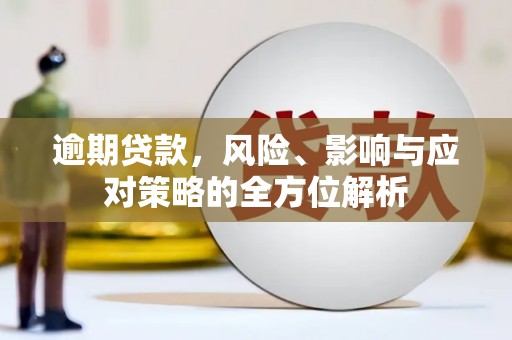 项城逾期贷款，风险、影响与应对策略的全方位解析