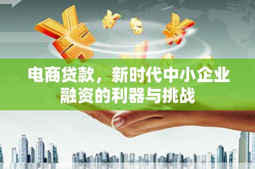 项城电商贷款，新时代中小企业融资的利器与挑战