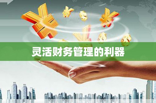 项城灵活财务管理的利器