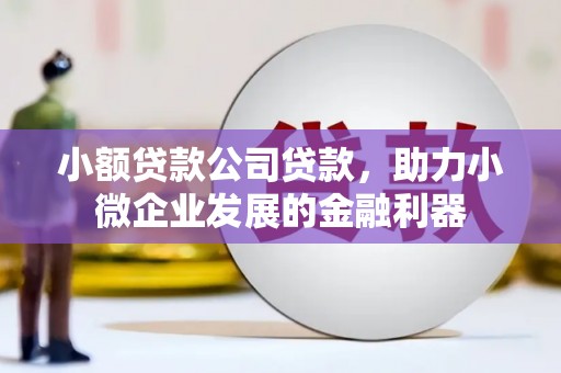 项城小额贷款公司贷款，助力小微企业发展的金融利器