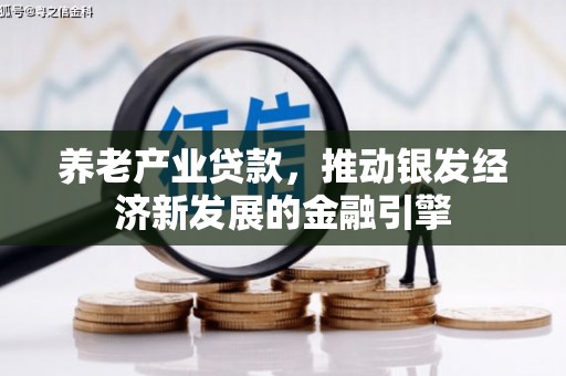 项城养老产业贷款，推动银发经济新发展的金融引擎