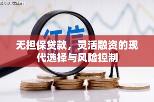 项城无担保贷款，灵活融资的现代选择与风险控制