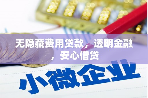 项城无隐藏费用贷款，透明金融，安心借贷