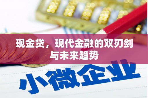 项城现金贷，现代金融的双刃剑与未来趋势