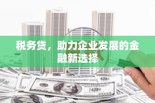 项城税务贷，助力企业发展的金融新选择
