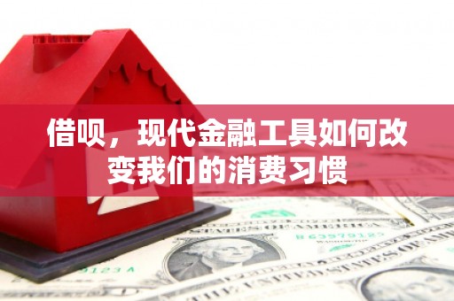 项城借呗，现代金融工具如何改变我们的消费习惯