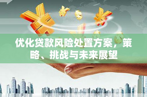 项城优化贷款风险处置方案，策略、挑战与未来展望