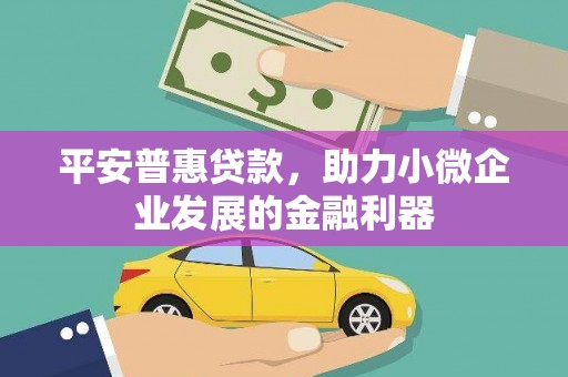 项城平安普惠贷款，助力小微企业发展的金融利器