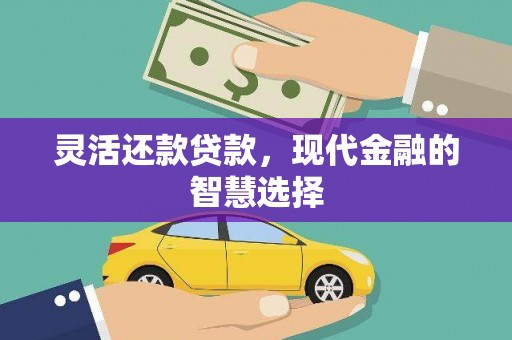 项城灵活还款贷款，现代金融的智慧选择