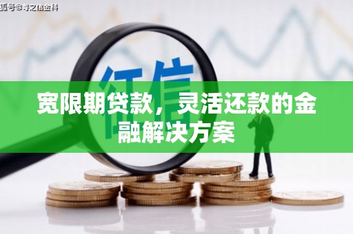 项城宽限期贷款，灵活还款的金融解决方案