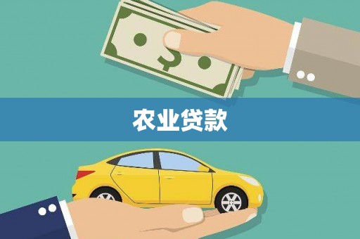 项城农业贷款