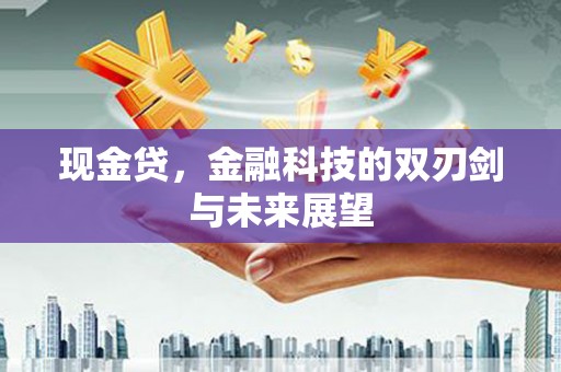 项城现金贷，金融科技的双刃剑与未来展望