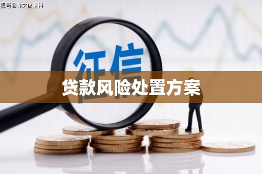项城贷款风险处置方案